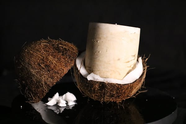 Bougie parfumée Noix de Coco Fait-Maison Artisanat Français à Offrir et Acheter 2 - Oeuvre d'Art Artisanat Français Intérieur maison à Offrir et Acheter